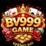 VB999 GAME